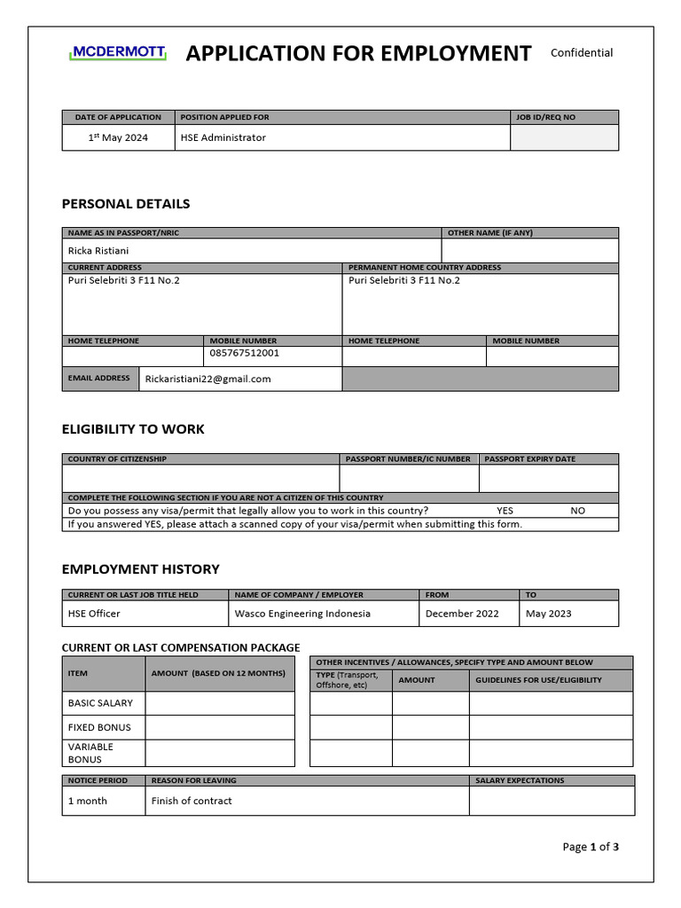 HSE Administrator Job Application Form | PDF | Passport