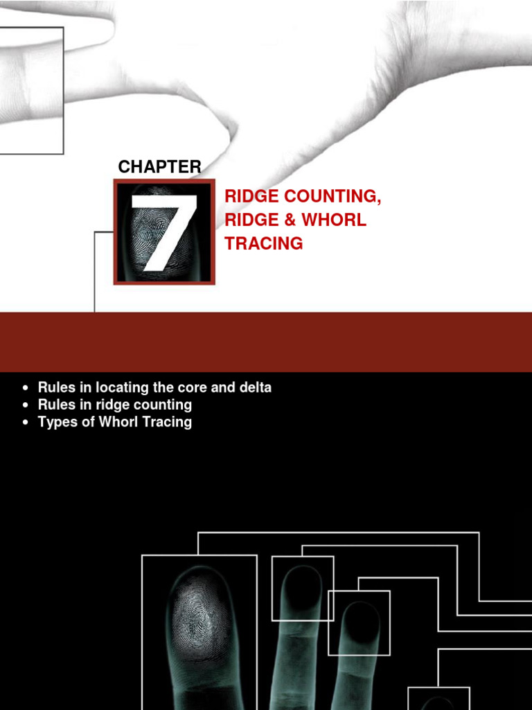 Ridge Counting In Fingerprint