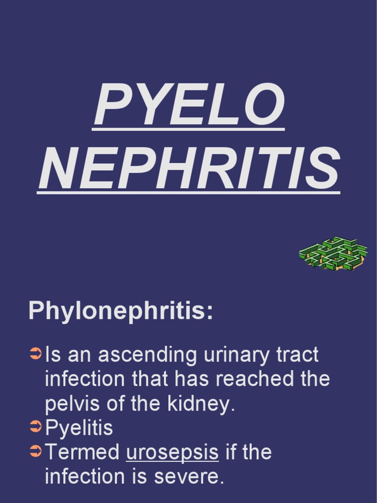 Ces Pyelonephritis | PDF