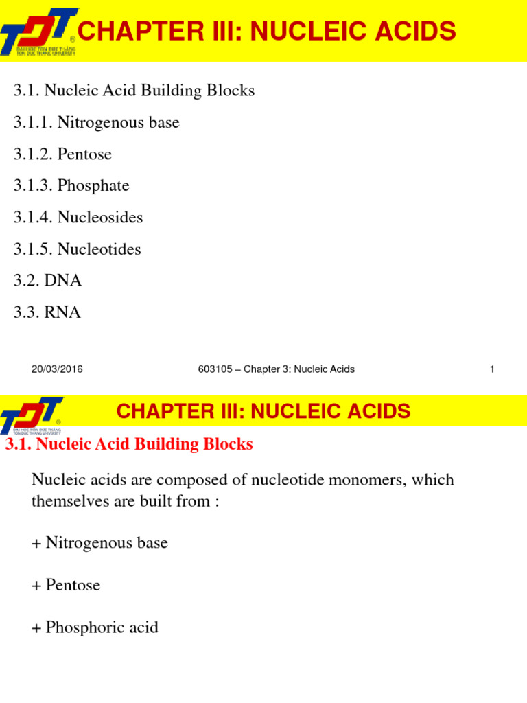 Urasine in Nucleic Acid Structure | PDF | Rna | Nucleic Acids