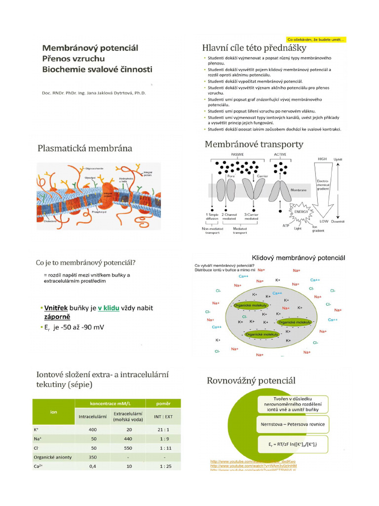 Biochem | PDF