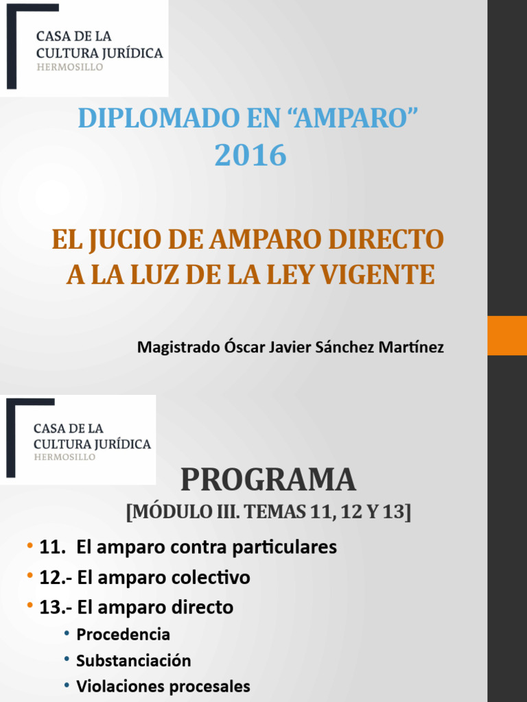 El Juicio de Amparo Directo | PDF | Caso de ley | Derechos