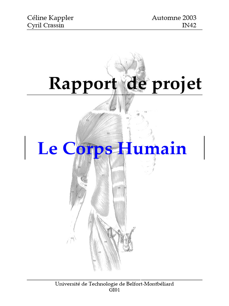 Projet IN42 : Outil d'Anatomie Collège | PDF | Interface graphique ...