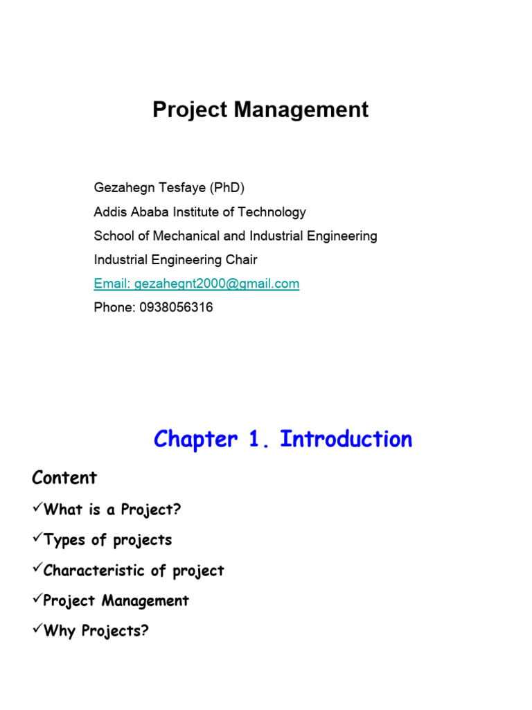 Understanding Project Management Basics | PDF | Project Management ...