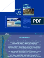 Bio Mas Chile Austral