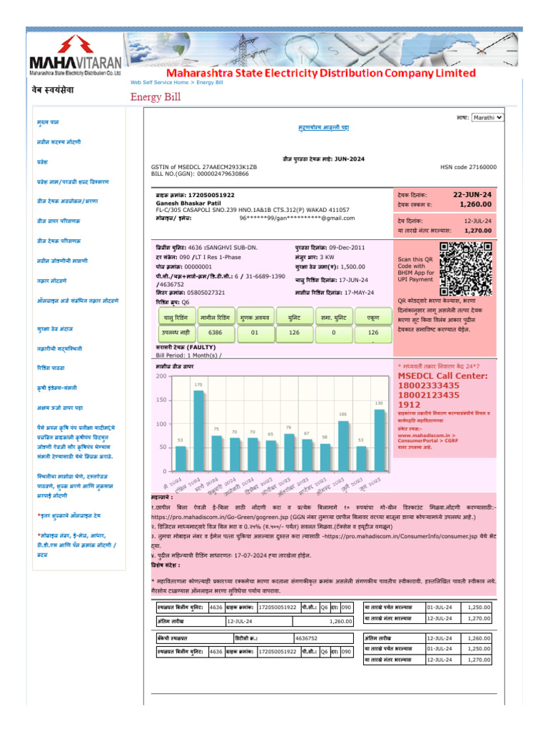 LT Energy Bill-June2024 | PDF