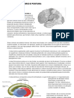 MOTRICIDADE EQUILÍBRIO E POSTURA