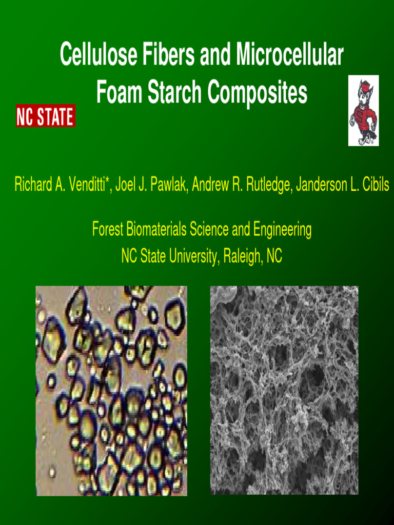 Acs Starch Fiber Composites | PDF | Starch | Composite Material