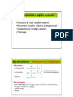 Metabolism Corpi Cetonici & Lipide Complexe