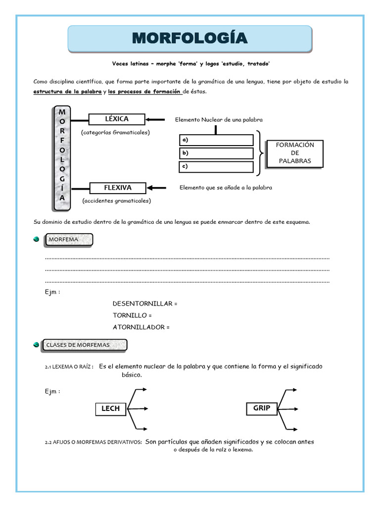Ficha de Trabajo de La Morfologia - Firmado | Descargar gratis PDF ...