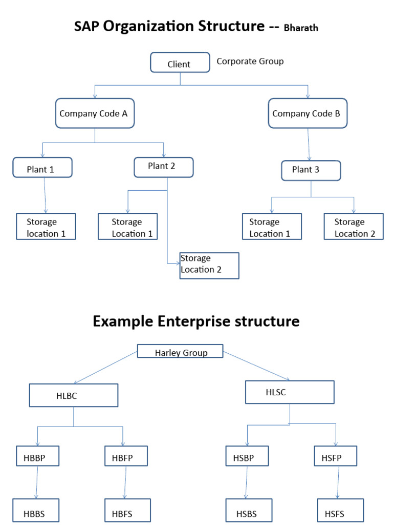 SAP Organization Structure Overview | PDF | Procurement | Business