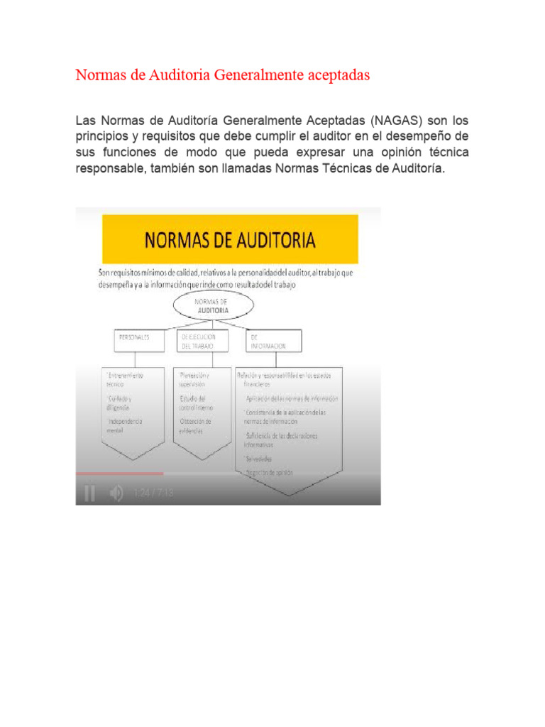 Normas de Auditoría y Requisitos | PDF | Auditoría | Contralor