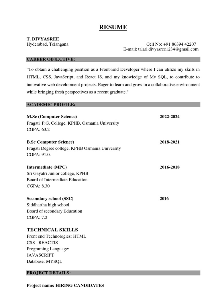 Front-End Developer Resume | PDF | Web Development | Computing