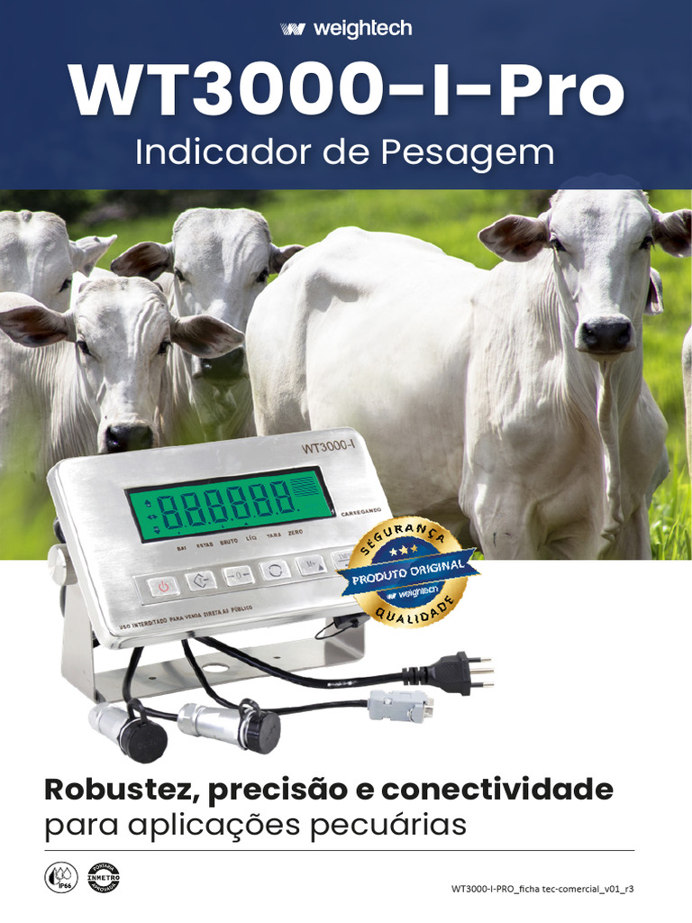 Indicador de Pesagem WT3000-I-PRO | PDF | USB | Ciência da Computação