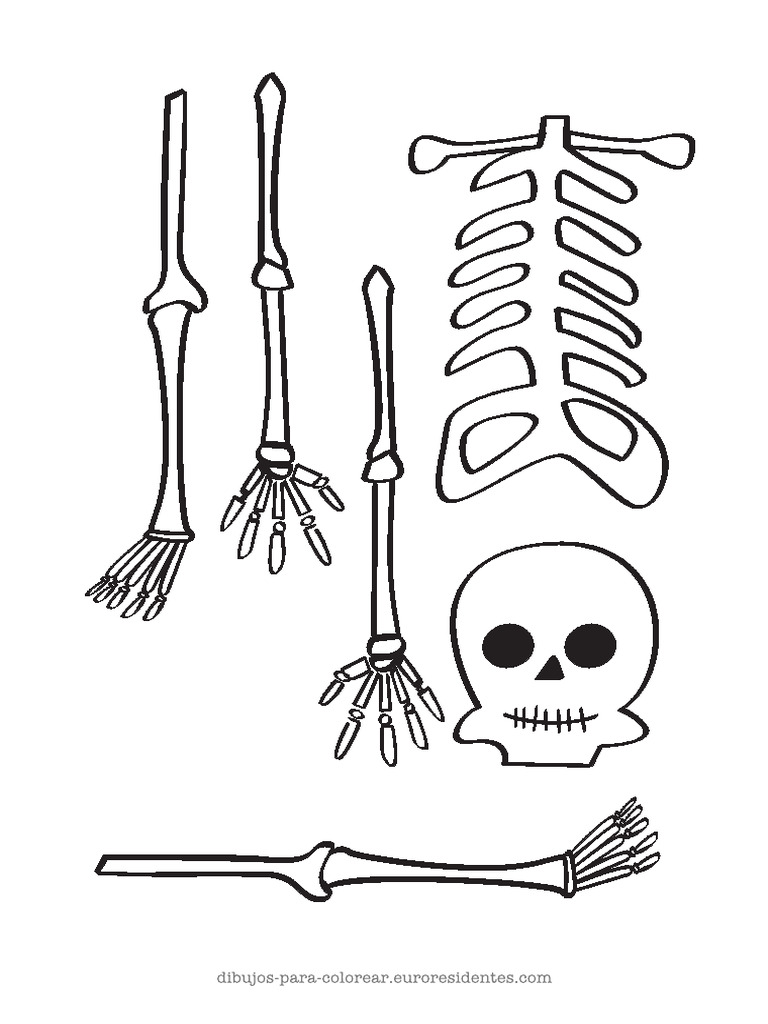 Descarga Esqueleto Recortar | PDF