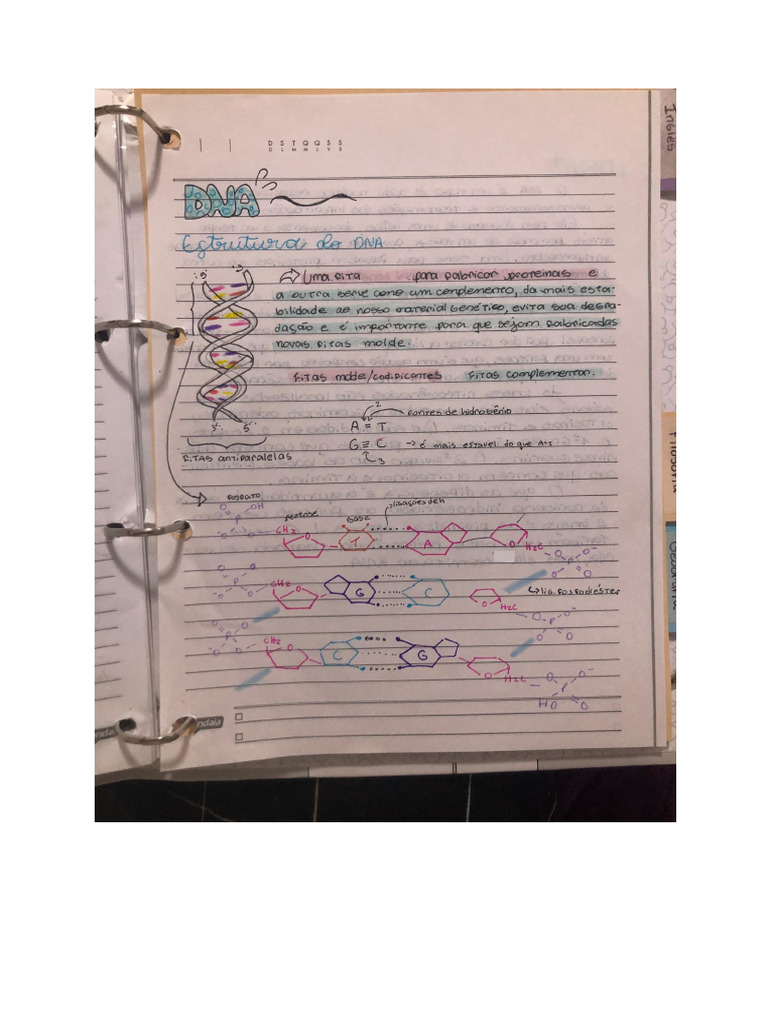 DNA | PDF