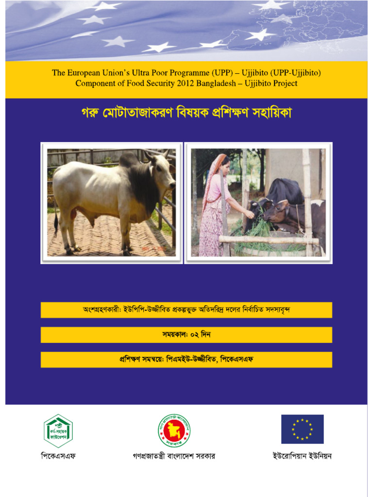 BEEF FATTENING BUSINESS PLAN PDF visual data 8