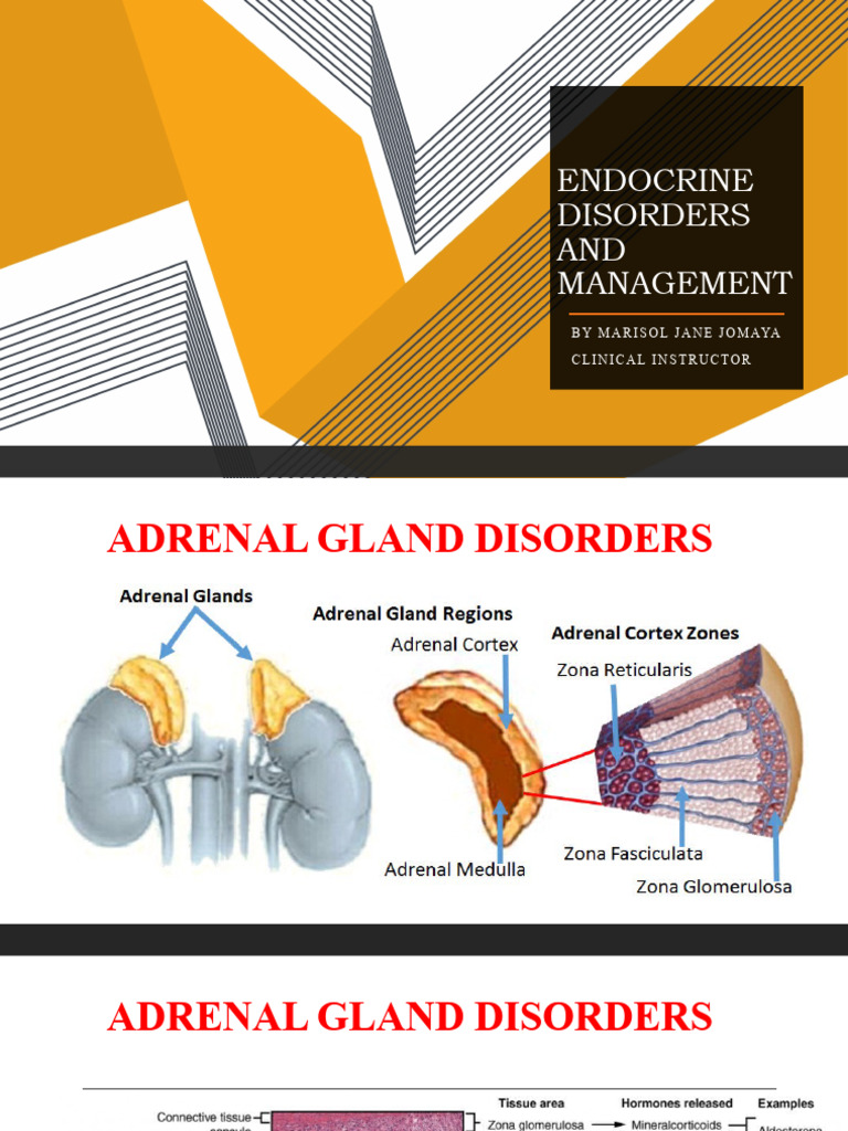 Adrenal and Thyroid Disorders Overview | PDF | Hyperthyroidism ...