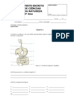 test_cn_6ano_sist_digestivo_ahm