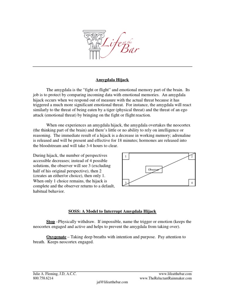 Amygdala Hijack | PDF