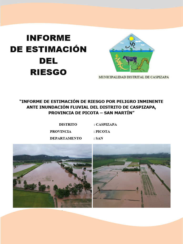 INFORME DE ESTIMACION DE RIESGOS 2024 ULTIMO | Descargar gratis PDF ...