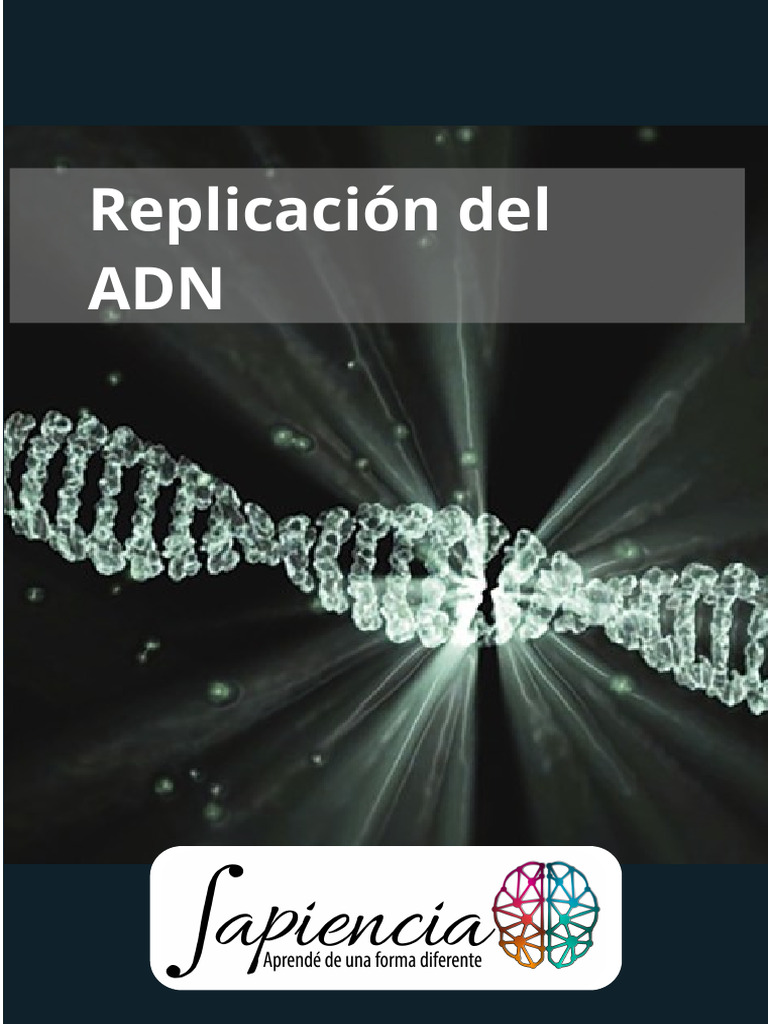 Enzimas en la Replicación del ADN | PDF | Replicación De Adn | Adn
