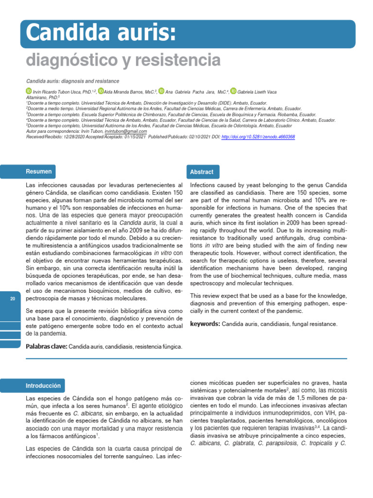 5 Candida Auris | PDF | Candida (hongo) | Candidiasis