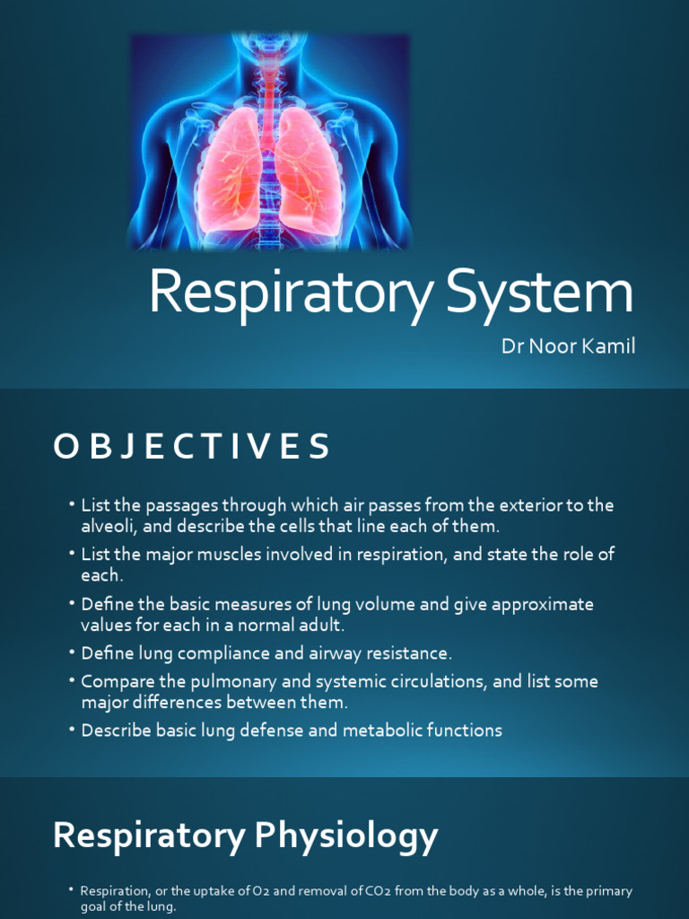 Overview of the Respiratory System | PDF | Art | Wellness
