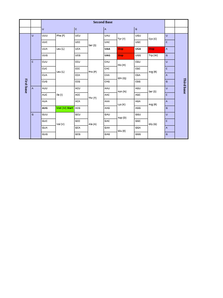 Amino Acid Codon Chart | PDF