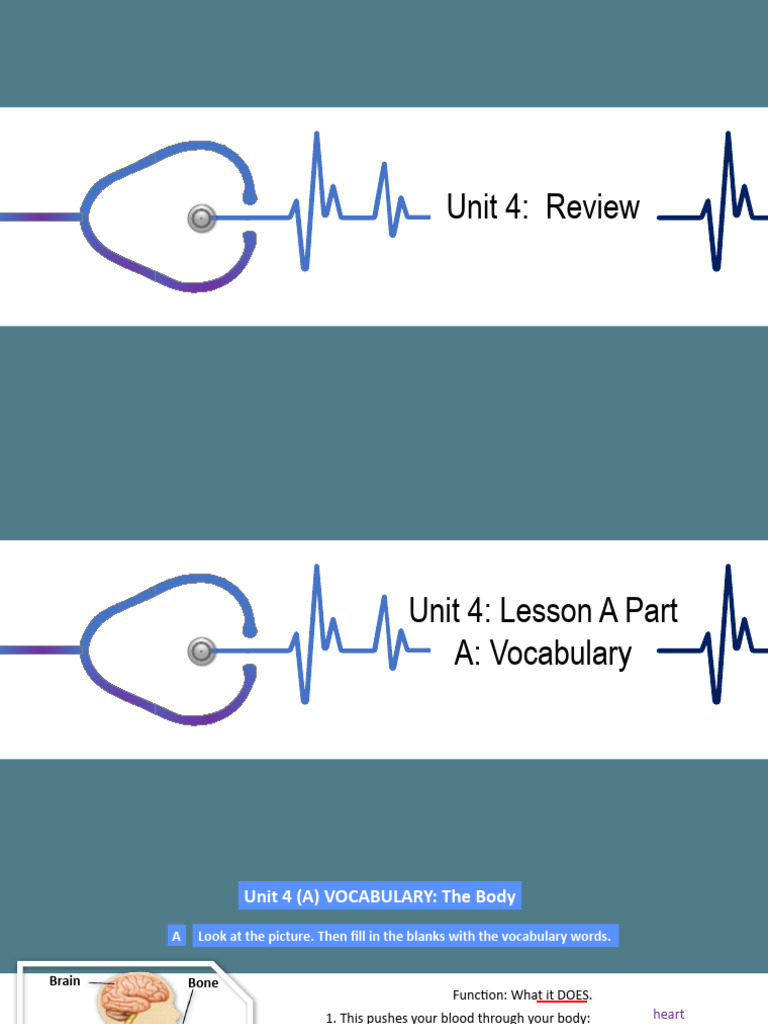 Body Vocabulary and Comparatives | PDF | Adjective | Linguistics