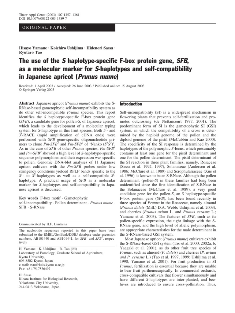 the-use-of-the-s-haplotype-specific-f-box-protein-gene-sfb-as-a