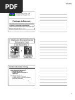 Adaptações Bioenergéticas