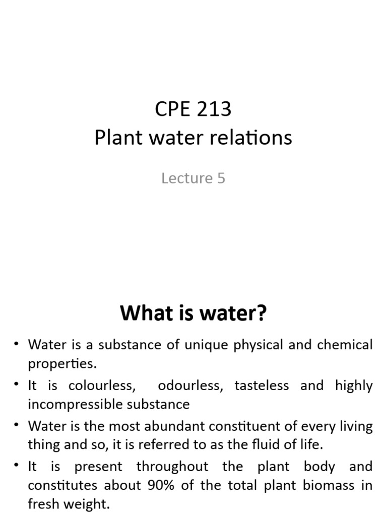 Understanding Plant Water Relations | PDF | Osmosis | Stoma