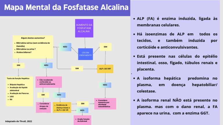 Mapa Mental da Fosfatase Alcalina | PDF | Especialidades médicas | Fígado