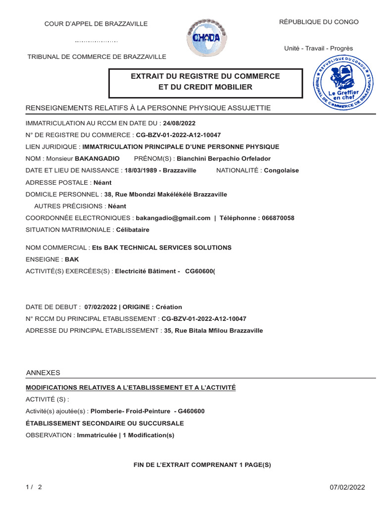 Extrait RCCM de Brazzaville | PDF