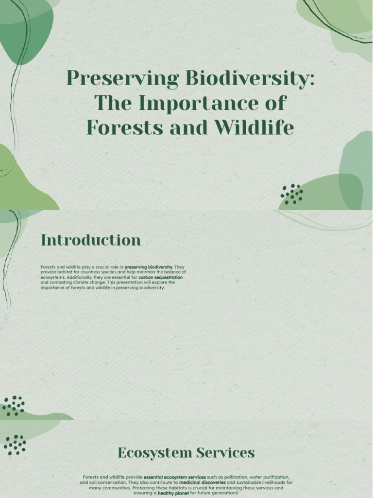 Slidesgo Preserving Biodiversity The Importance of Forests and Wildlife ...
