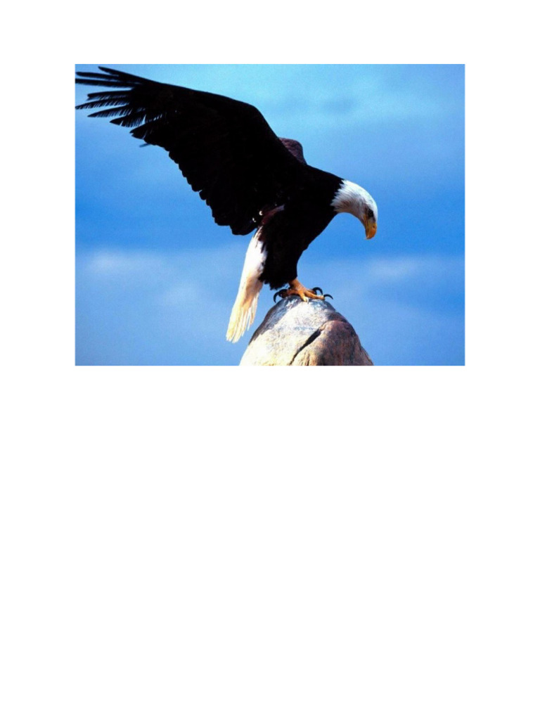 Alejandro Aguilar PDF