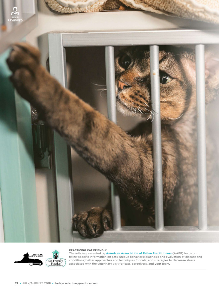 Understanding Cat Behavior in Practice | PDF | Fear | Cats