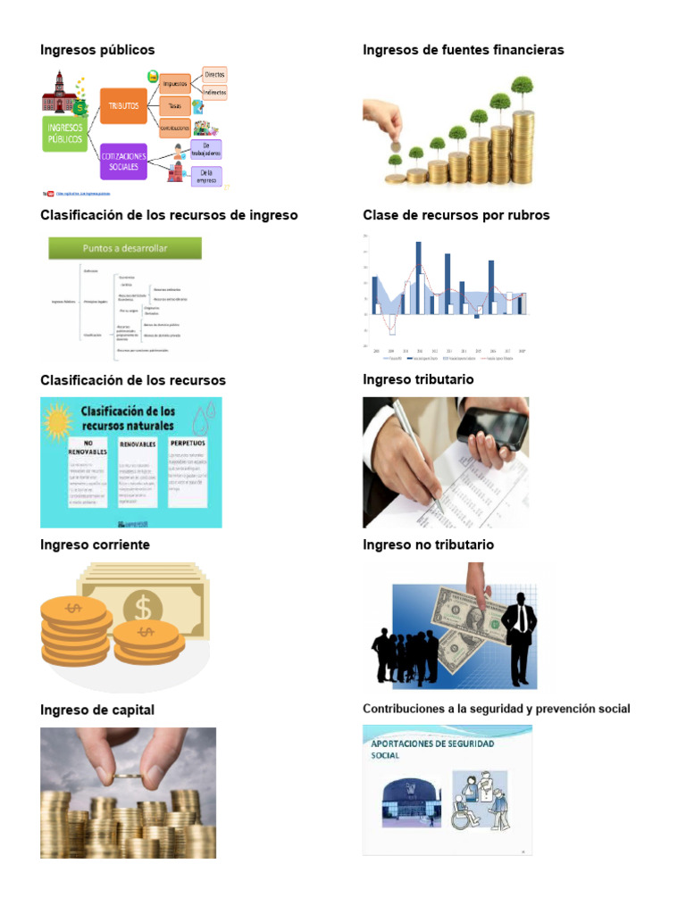 Clasificación de Ingresos y Egresos Públicos | PDF