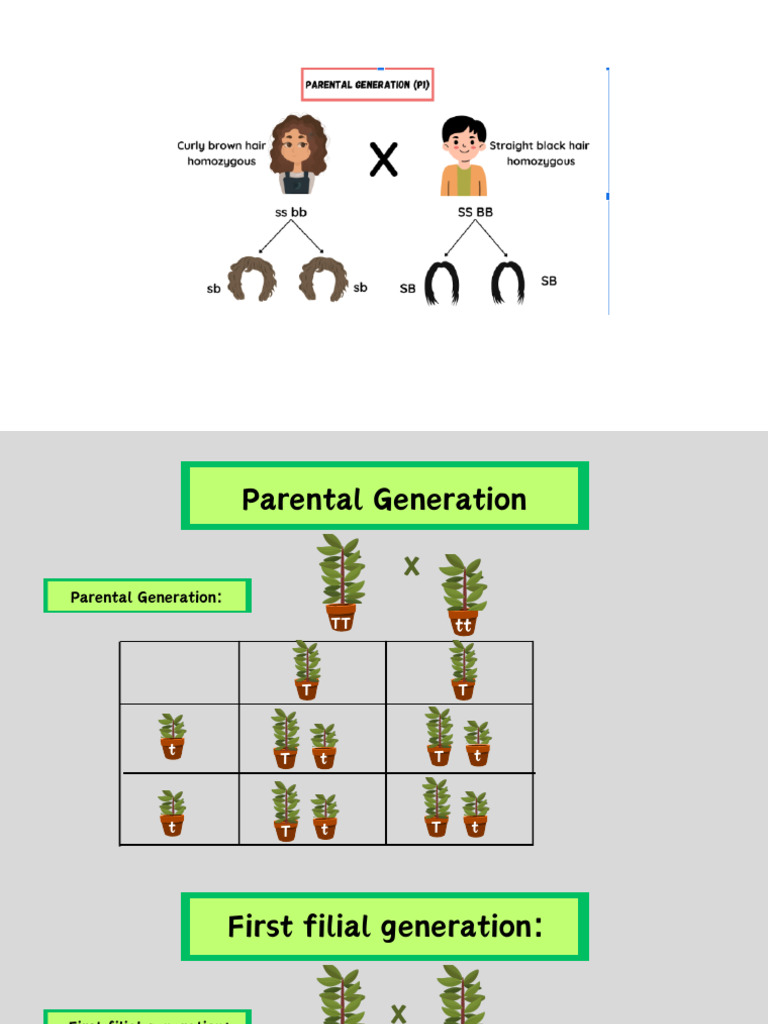 Understanding Parental and Filial Generations | PDF