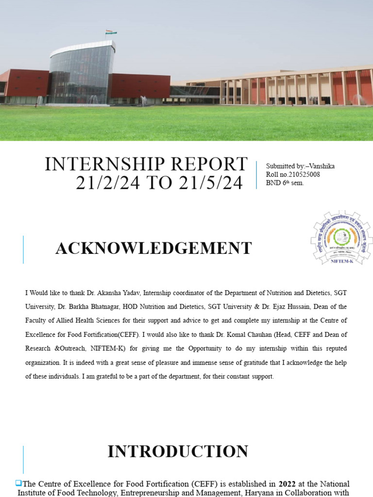 NIFTEM Internship Report 2024 | PDF