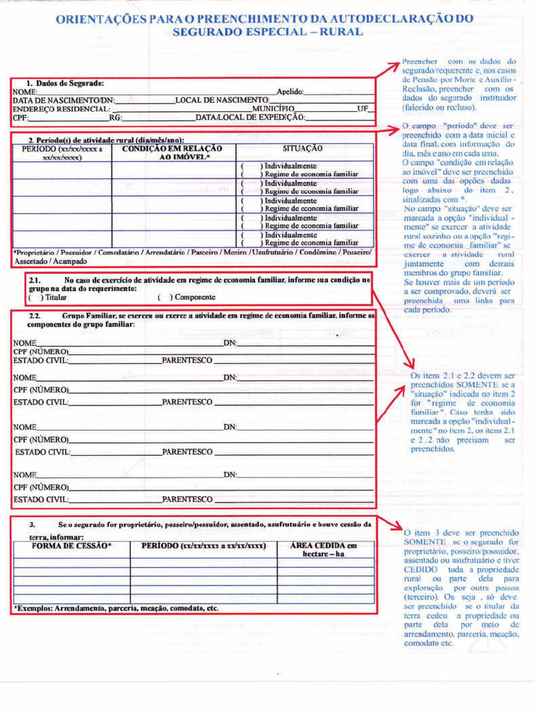 Orientações - Preenchimento Autodeclaração - SE - Rural | PDF