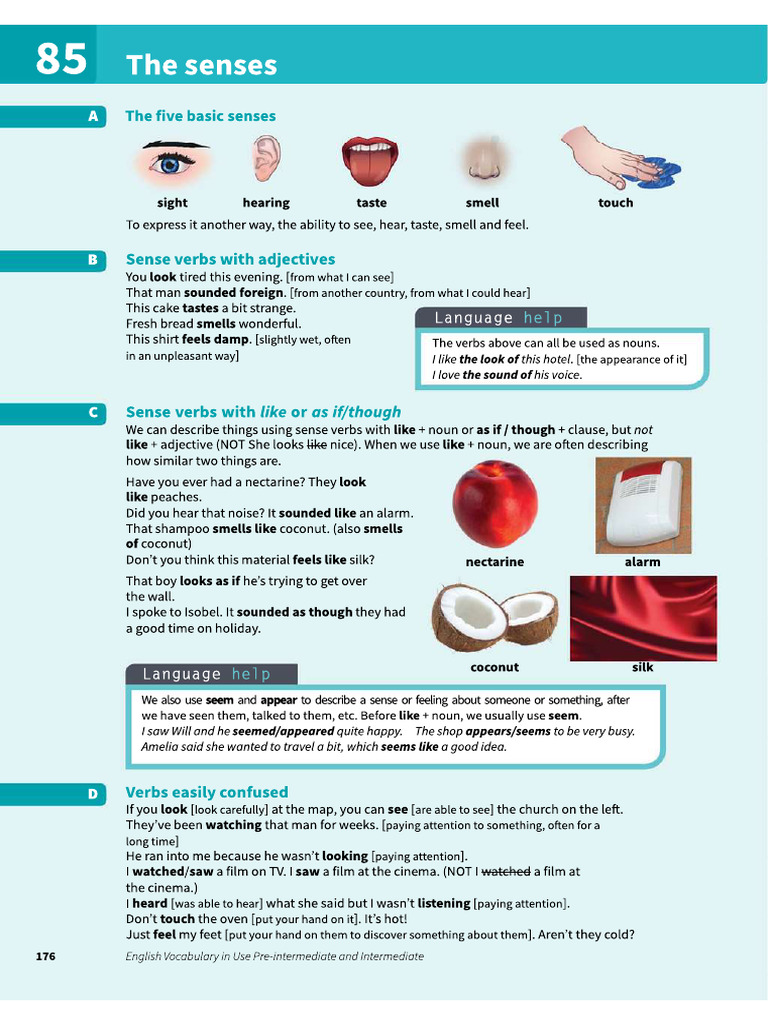 The Senses | PDF