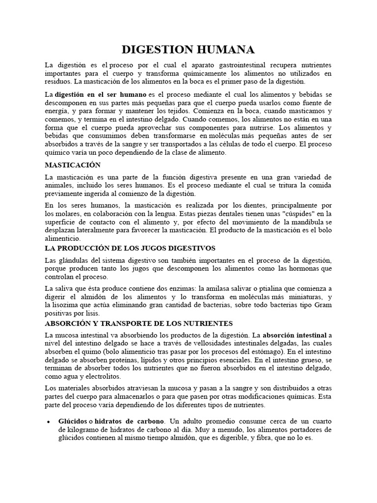 Digestion Humana Pdf Digestión Biología