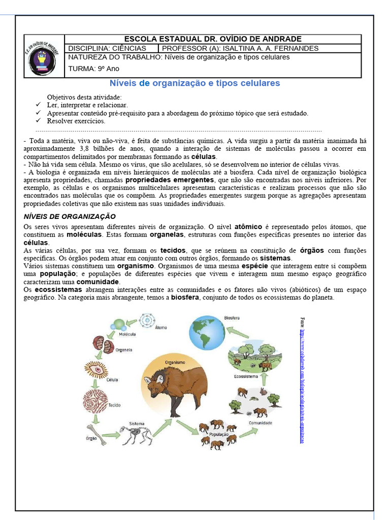 Níveis de Organização Celular | PDF | Célula (Biologia) | Organismos