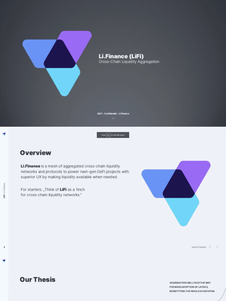 Li - Finance Pitch Deck | PDF