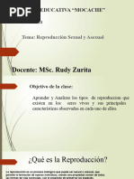 Ciencia y Tecnologia Estrella | PDF