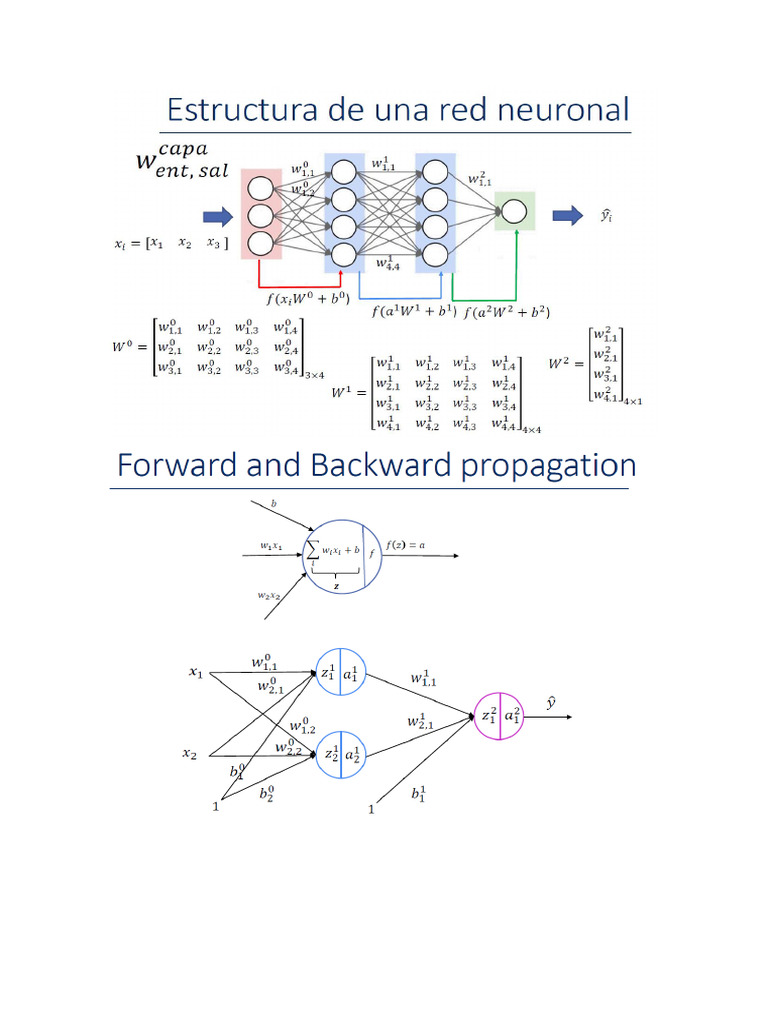 Forward Backprop | PDF