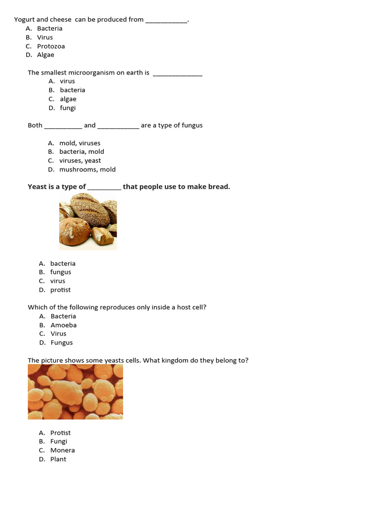 Form 5 Science Chapter 1 Enrichment Exercise Pdf Bacteria