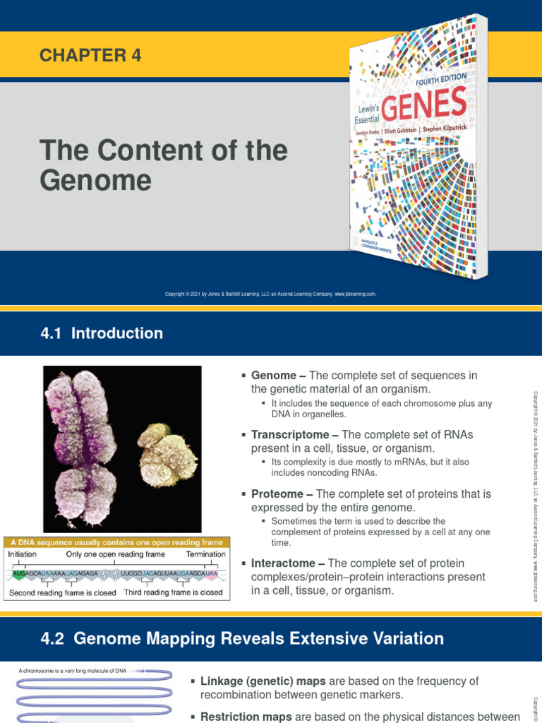 Ë Ì Ì Í Ì Ë Í - Ê° Ì 7 - The Content of The Genome | PDF | Single ...